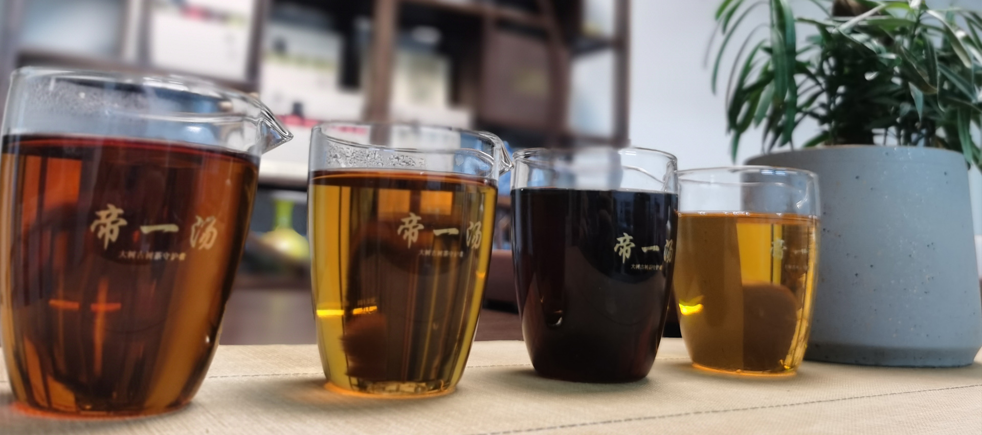 山东世晟文化传媒有限公司